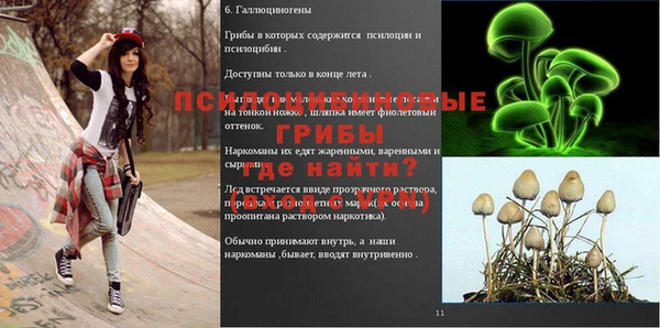 первитин Михайлов